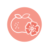 Icon-01