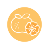 Icon-08